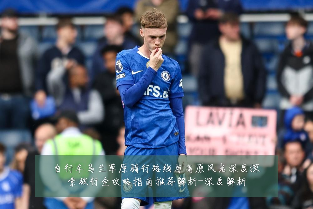 自行车乌兰草原骑行路线与高原风光深度探索旅行全攻略指南推荐解析-深度解析